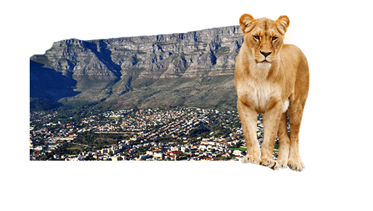 Private Tours of South Africa | Phalima Shuttle Service